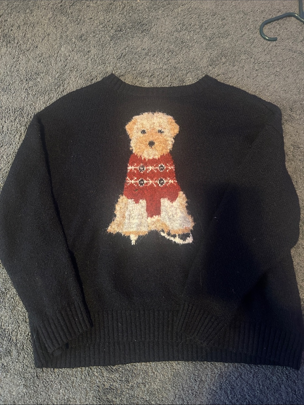 Sweater from target (wild fable)